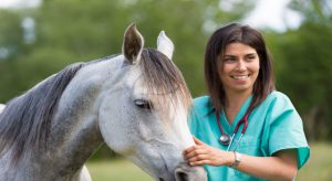 nurse with horse